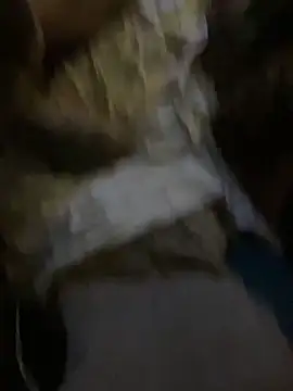 WilldoPita online show from 6, 1, 2025