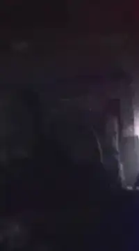 WilldoPita online show from 21, 1, 2025