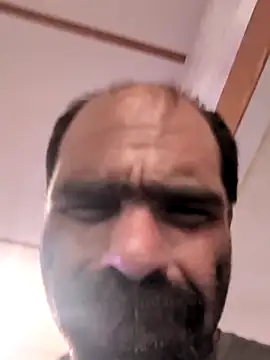 WilldoPita online show from 5, 10, 2025