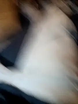 ySqmbVanbe online show from 11, 11, 2025