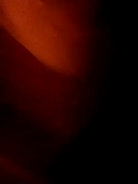 ySqmbVanbe online show from 15, 1, 2026