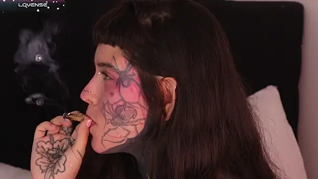 SylveonFox online show from 11, 2, 2025