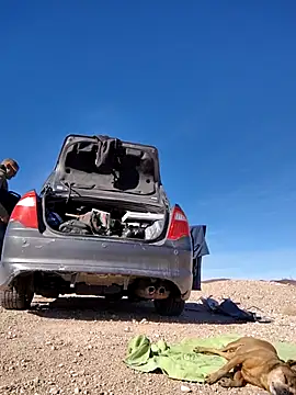 Snapshot of FloppyPickle4u chatting on 15, 2, 2025 FloppyPickle4u online show from 15, 2, 2025