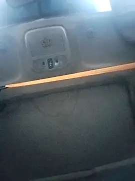 Snapshot of FloppyPickle4u chatting on 5, 11, 2025 FloppyPickle4u online show from 5, 11, 2025