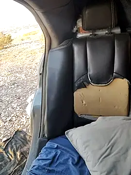 FloppyPickle4u online show from 2, 2, 2026