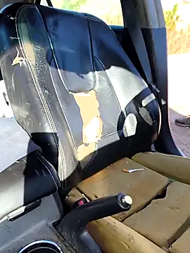 FloppyPickle4u online show from 9, 3, 2026