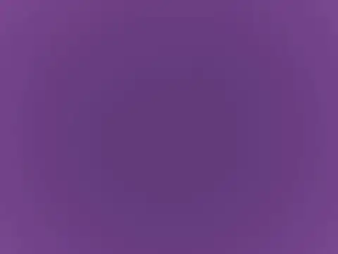 doctor deee online show from 8, 9, 2025