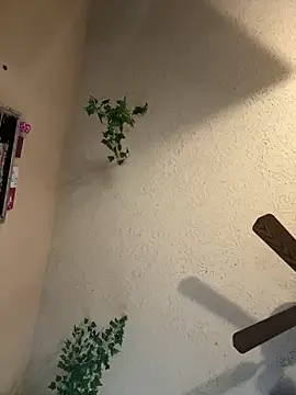 Snapshot of magicalc00ch chatting on 16, 3, 2025 magicalc00ch online show from 16, 3, 2025