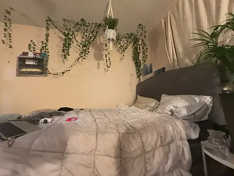 Snapshot of magicalc00ch chatting on 2, 11, 2025 magicalc00ch online show from 2, 11, 2025