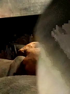 Snapshot of xWhoreAbleX_Pika chatting on 6, 3, 2025 xWhoreAbleX Pika online show from 6, 3, 2025