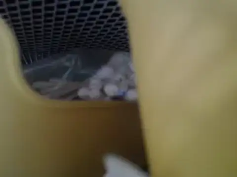 lovense test04 online show from 27, 4, 2026