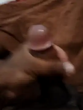 pattolino1 online show from 16, 3, 2026