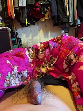 A6229 online show from 29, 1, 2025