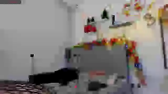 alissonandamy online show from 21, 12, 2024