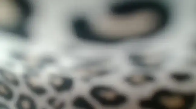 CrystalBrooke3x online show from 26, 1, 2025