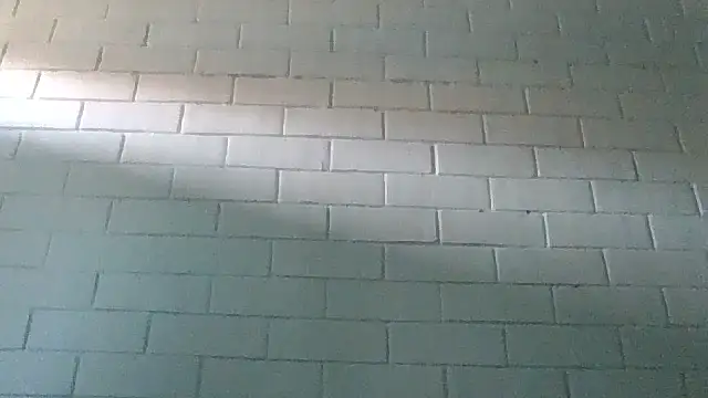 Snapshot of GiveLove1 chatting on 19, 2, 2025 GiveLove1 online show from 19, 2, 2025