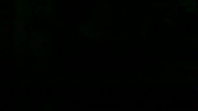 markluvskitty online show from 12, 4, 2026