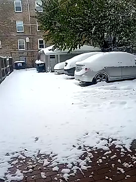 AmazonianMistress online show from 10, 11, 2025