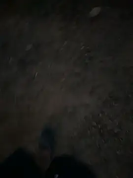 Black-mamba-madingo online show from 28, 9, 2025