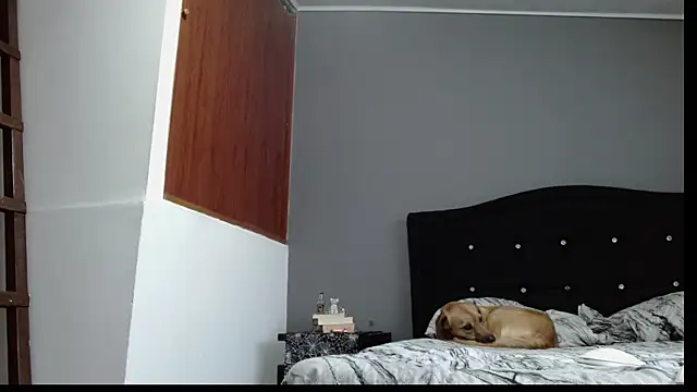 Snapshot of Emilia_1995 chatting on 30, 1, 2025 Emilia 1995 online show from 30, 1, 2025