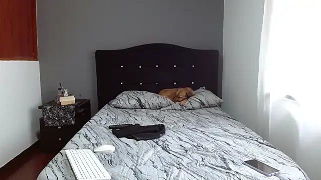 Snapshot of Emilia_1995 chatting on 13, 2, 2025 Emilia 1995 online show from 13, 2, 2025