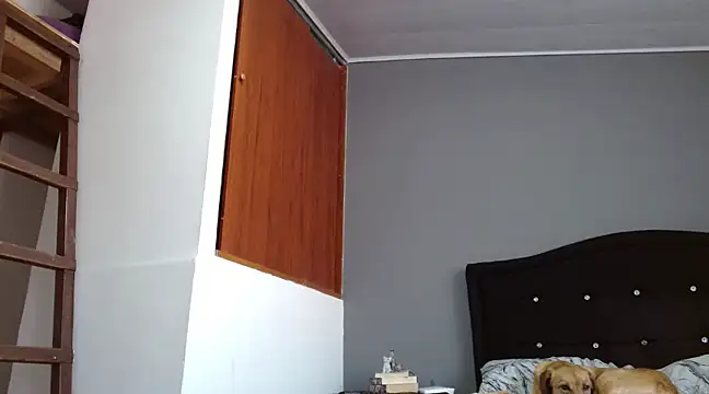 Snapshot of Emilia_1995 chatting on 28, 2, 2025 Emilia 1995 online show from 28, 2, 2025