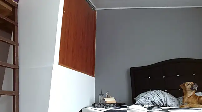 Snapshot of Emilia_1995 chatting on 16, 3, 2025 Emilia 1995 online show from 16, 3, 2025