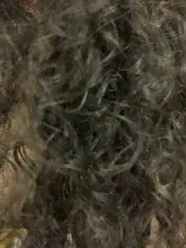 Antoniart  online show from 9, 2, 2025