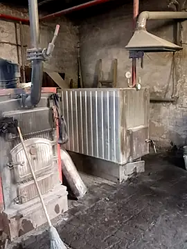 MityaXLoves online show from 13, 4, 2026