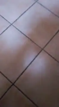 Snapshot of ZorraidaGiroNina chatting on 3, 2, 2025 ZorraidaGiroNina online show from 3, 2, 2025