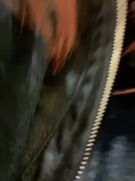 RinaCat online show from 24, 12, 2024