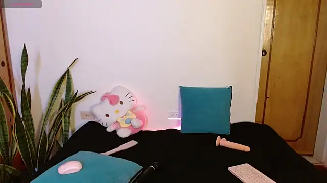 kittycatw online show from 17, 12, 2025