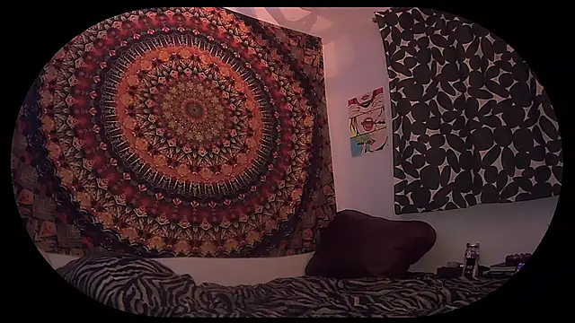 HeyyImHarlowe online show from 2, 3, 2026