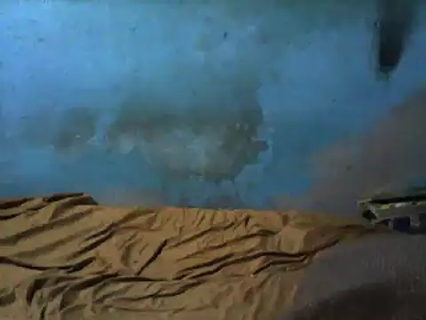 Snapshot of little__joy chatting on 1, 3, 2025 little joy online show from 1, 3, 2025