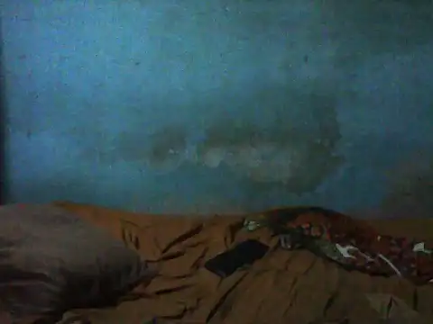 Snapshot of little__joy chatting on 29, 11, 2025 little joy online show from 29, 11, 2025