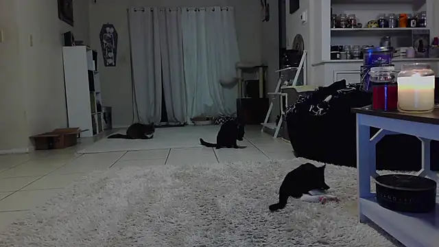 CrystalLakeXO online show from 19, 10, 2025