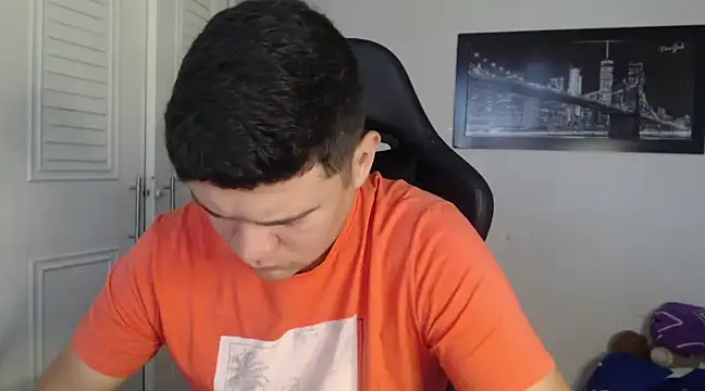 Snapshot of Plug_Control chatting on 19, 1, 2025 Plug Control online show from 19, 1, 2025