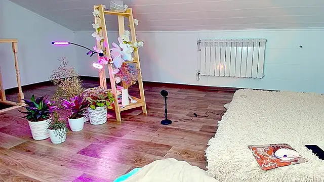 Snapshot of Meowroslava chatting on 7, 11, 2025 Meowroslava online show from 7, 11, 2025