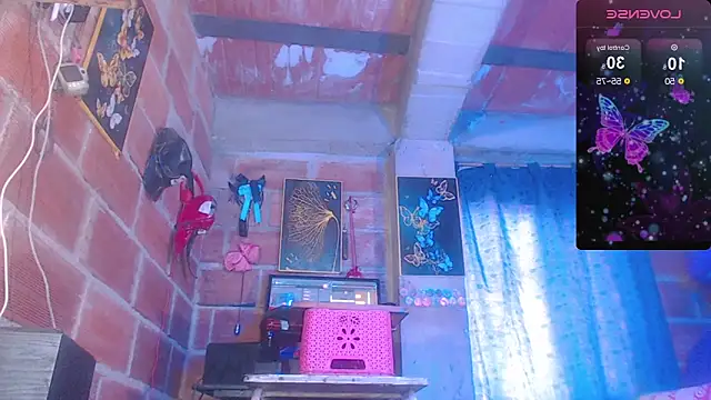 assbignatha online show from 20, 3, 2026