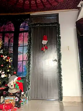 Snapshot of _Artemisa_X chatting on 4, 12, 2024 Artemisa X online show from 4, 12, 2024