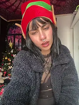 Snapshot of _Artemisa_X chatting on 27, 12, 2024 Artemisa X online show from 27, 12, 2024