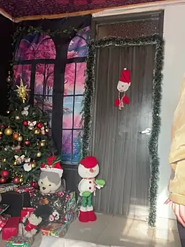 Snapshot of _Artemisa_X chatting on 28, 12, 2024 Artemisa X online show from 28, 12, 2024