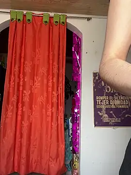 Snapshot of _Artemisa_X chatting on 18, 2, 2025 Artemisa X online show from 18, 2, 2025