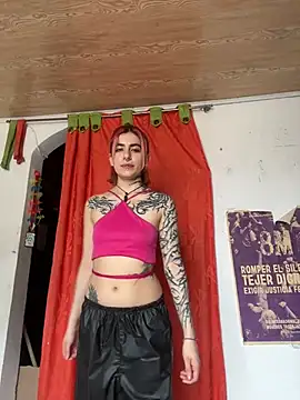 Snapshot of _Artemisa_X chatting on 20, 2, 2025 Artemisa X online show from 20, 2, 2025