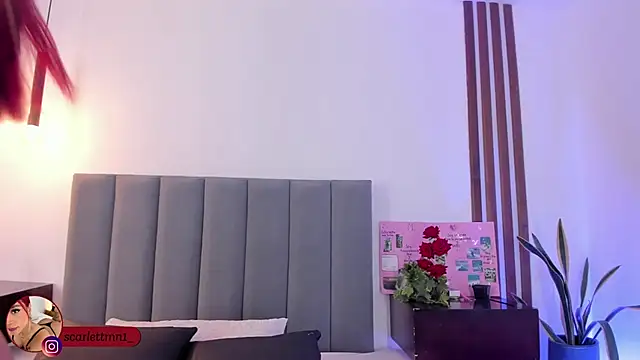 Snapshot of Scarlett_Morgan_ chatting on 24, 11, 2025 Scarlett Morgan online show from 24, 11, 2025