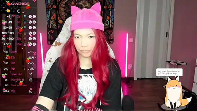 Project hisoka online show from 10, 1, 2025