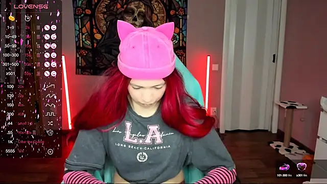 Project hisoka online show from 27, 2, 2025