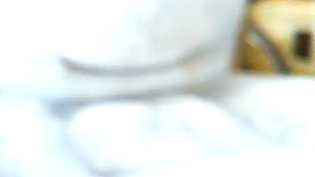 volficxh online show from 5, 4, 2026