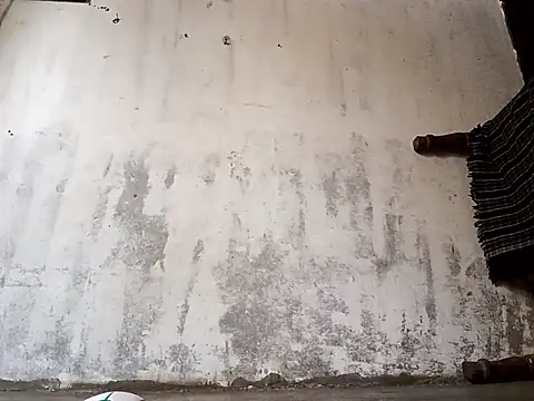 Yasha 14C Creator online show from 17, 1, 2026