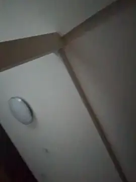 pnp0Japan online show from 27, 2, 2025